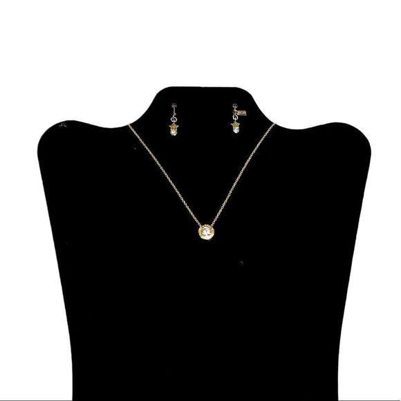 🌟FREE🌟NEW🌟 Coach Star/Stone Earring on Wire - Picture 1 of 5